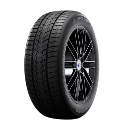 LINGLONG SPORT MASTER WINTER 255/40 R19 100V - Tyresworld
